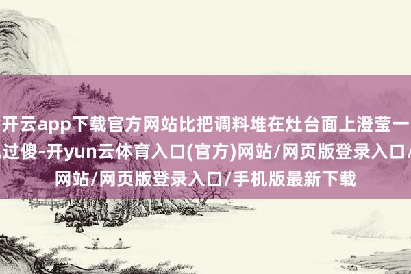 开云app下载官方网站比把调料堆在灶台面上澄莹一百倍! 我之前犯过傻-开yun云体育入口(官方)网站/网页版登录入口/手机版最新下载